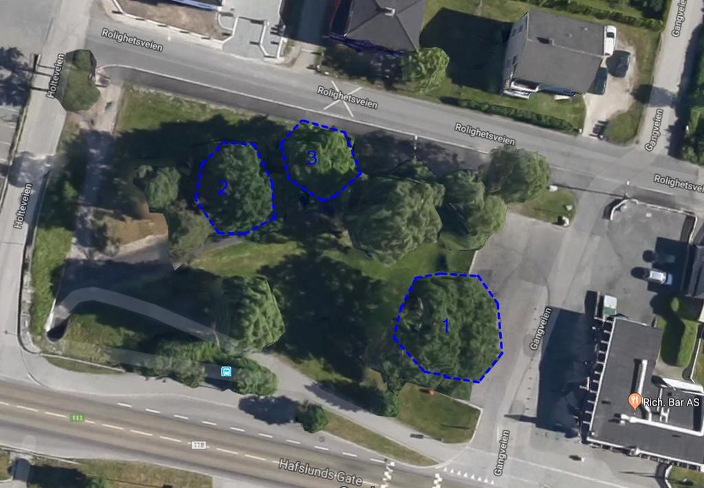 2 3 1 Figur 5-6: Parken ved Rich. Bar og plassering av tre store eiker. Inntegnet blått omriss angir ca. omfang av trekrone ut fra Google Maps pr. januar 2019.