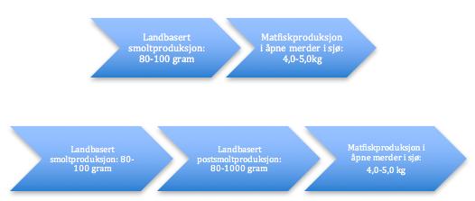 3. Produksjonsprosess i sjøbasert oppdrettsnæring Generelt sett har det i Norge gjennom årene vært vanlig å produsere smolt på 80-100 gram i settefiskanleggene, før smolten blir satt i tradisjonelle