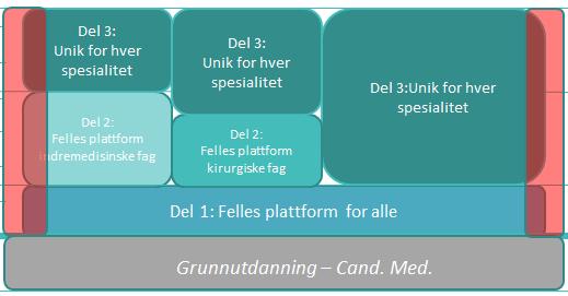 Ny spesialsitsutdanning - i alle fag