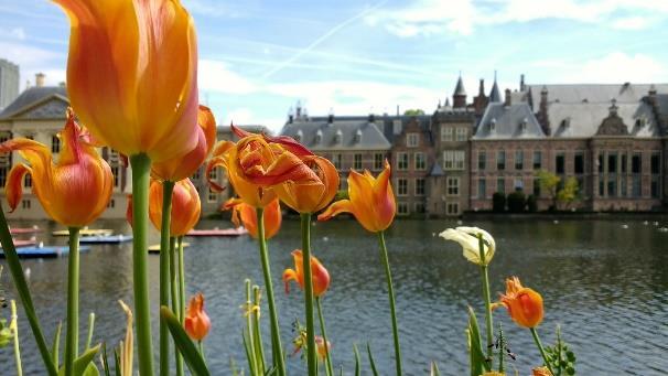 Etter at Dronning Beatrix abdiserte i 2013, heter dagens populære regent Kong Willem-Alexander, og dagen feires som alltid på den sittende regentens bursdag, 27. april.