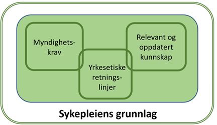 Sykepleiens grunnlag: Myndighetskrav; Lover, forskrifter, nasjonale retningslinjer og internasjonale konvensjoner Yrkesetiske retningslinjer; «Gjøre vel», unngå skade,