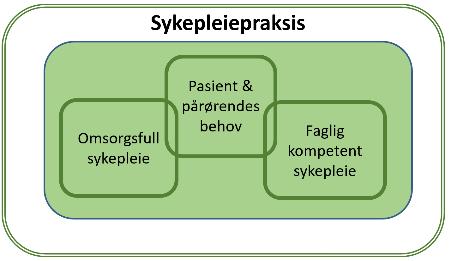 Sykepleiepraksis: Pasient og pårørendes behov; Kjernen i helsehjelp; handlinger som har forebyggende, diagnostisk, behandlende, helsebevarende, rehabiliterende eller pleie- og omsorgsformål Faglig