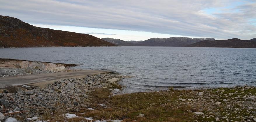 15, i vedlegg), tilsier at det i fra 1970, da Hardangervidda-stammen ble kraftig redusert, ble det tomt for dyr sør for Songa.