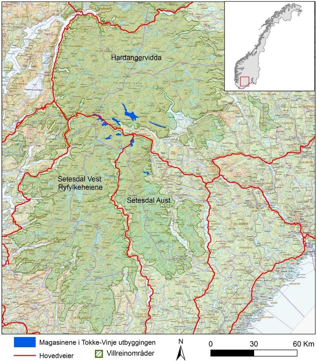 1. INNLEDNING I 2007 åpnet Norges vassdrags- og energidirektorat (NVE) for revidering av vilkårene i Tokke-Vinjereguleringen.