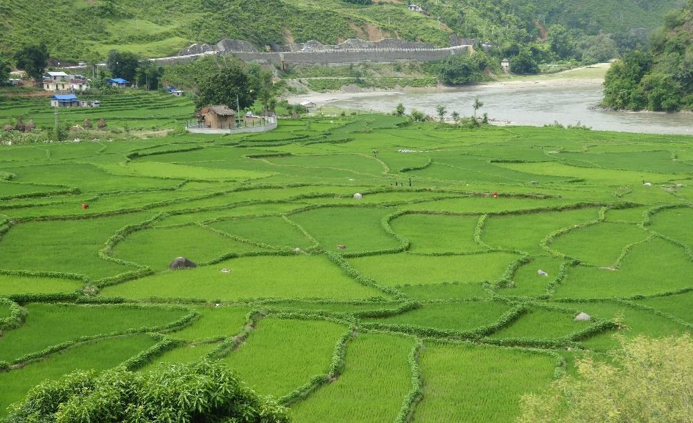 I skråningene mellom Himalaya og Bangladesh Det har vært en våt regntid. Og den skal nok holde på i noen uker til. Det har mange følger: Dalbunnen er full av bugnende rismarker.