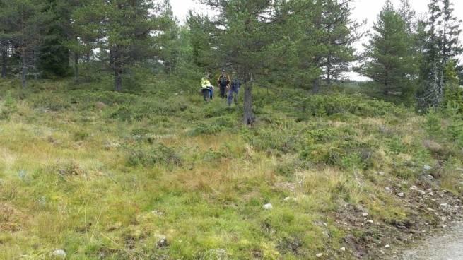 området har laget og beitebrukerne i dag en enkel «leirplass» som benyttes ved slipp og sanking av storfe.