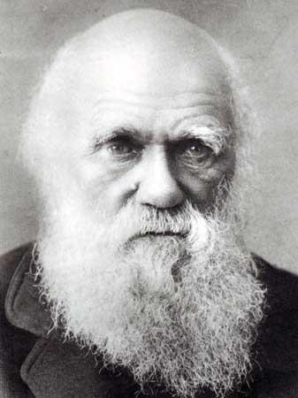 Kulturhistorisk sammenheng Charles Darwin Om artenes opprinnelse (1859)