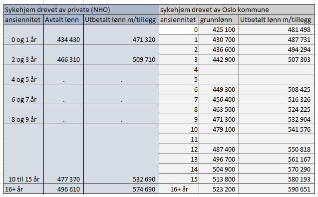 Sykepleiere Private sykehjem (NHO-medlemmer) i Oslo sysselsetter 139 sykepleierårsverk.