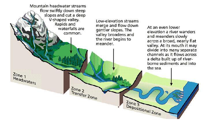 Det fluviale systemet