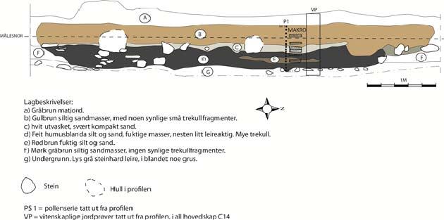 Figur 14: Tegning av dyrkningsprofil 3 i felt 2 med angitt sted for uttak for radiologiske og botaniske prøver. Lab.