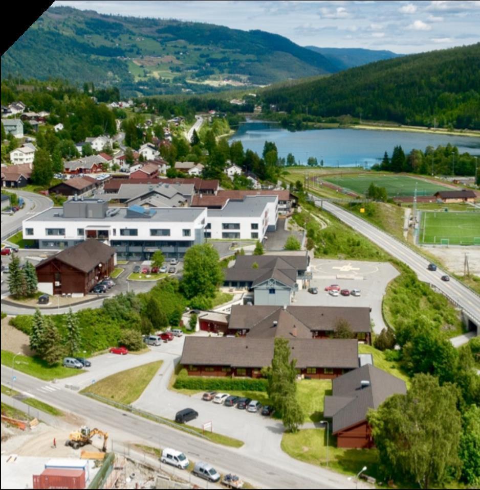 Hallingdal, ein region som samarbeidar Eks. Hallingdal sjukestugu, nærsjukehuset i Hallingdal Sentraliser det du må, desentraliser det du kan.