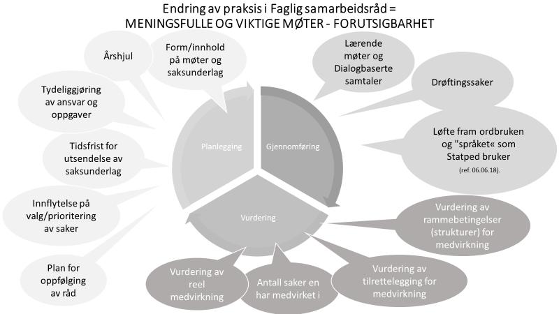 I desember 2018 gjennomførte Statped en ny vurdering. Her fremgikk at brukerrepresentantene høsten 2018 har opplevd tilretteleggingen for brukermedvirkning svært tilfredsstillende.