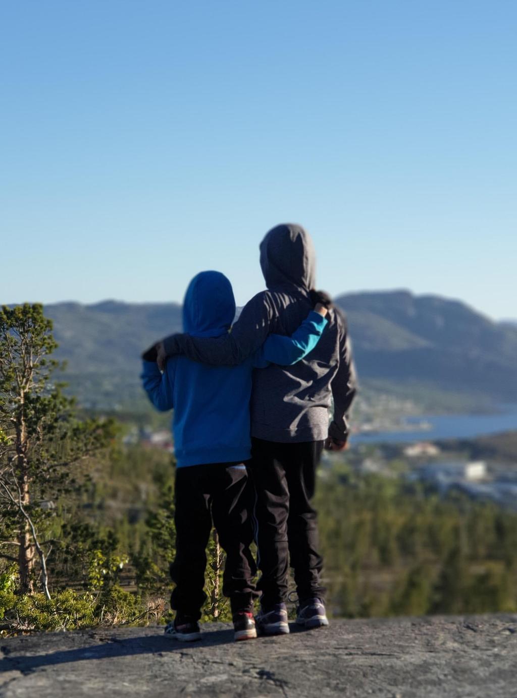 Kartlegging av situasjonen til