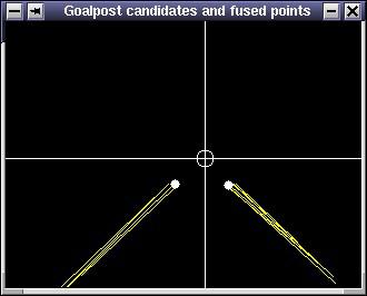 a histogram, and detecting the two angles most likely to be the angles of the goal posts. Afterwards two arrays of one or more lines are created containing the line(s) of each goal post.