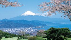 I dag forlater dere neonjungelen Toyko. Bare en halvtimes reise fra Tokyo vil landskapet begynne å forandre seg og vi begynner å nærme oss Japans mest berømte symbol Fuji-fjellet.