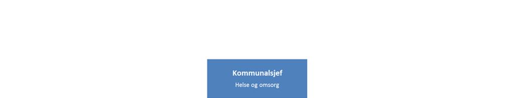 Tenesteområde Helse- og omsorg Ansvarsområde Skjåk kommune har svært gode helse- og omsorgstilbod, og tenestene som blir levert er av høg kvalitet.