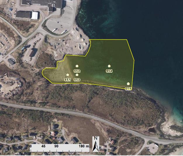 Side: 3/6 Figur 2: Plassering av prøvepunkter i sjø ved Børøya industriområde. ST.1-ST.5 vises som hvite prikker innenfor det gule omrisset som viser omtrentlig utfyllingsareal.