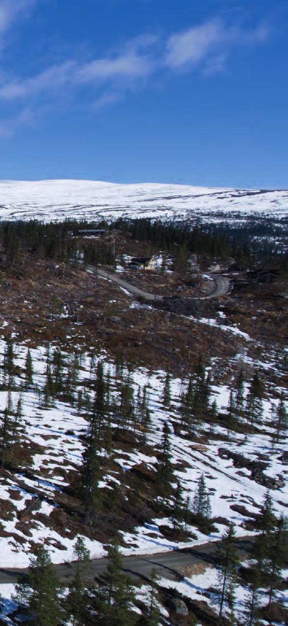 Bildet viser Sør-Teige og tomtene REALISER HYTTEDRØMMEN! SØR-TEIGE STORE SELVEIERTOMTER PÅ NOREFJELLS VESTSIDE Mange drømmer om en hytte på fjellet, med uendelige hvite vidder for flotte skiturer.