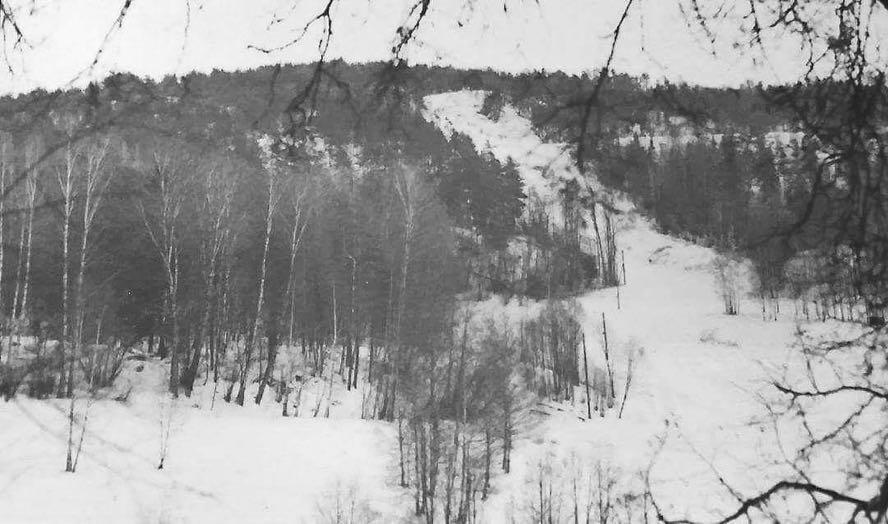 Slalombakken, muligens sett fra Hallagerjordet. (Foto: privat) Den ble kalt «De tre hår» på grunn av tre høye furuer som sto øverst i bakken. Den var lang og bratt, men hadde bare et enkelt tautrekk.