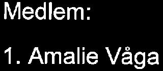 Vinterlandbruksskulen: Medlem: 1. Amalie Våga Varamedlem : 1.