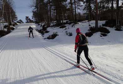 Totalt i undersøkelsen rapporterte 52,4% at de «Aldri» eller «1-3 ganger per måned» drev med egenorganisert aktivitet.