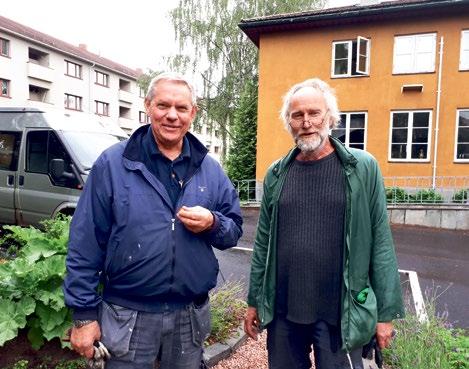 FRIVILLIGHET FELLESSKAP OG FRIVILLIGHET Våre fellesskap består av mange og ulike mennesker som blir kjent med hverandre og bidrar på ulike måter.