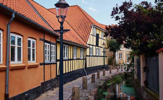 Derefter kører vi gennem nogle af de charmerende landsbyer, ser nogle slotte og herregårde, oplever ægte Morten Korch idyl, ser Gyldensteen Strand og drikker eftermiddagskaffe i Kunstgården, som er