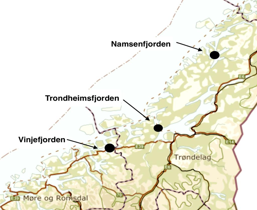 Namsenfjorden er 35 kilometer lang og har ti lakseelver med Namsen som den største (Næsje et al., 2015).