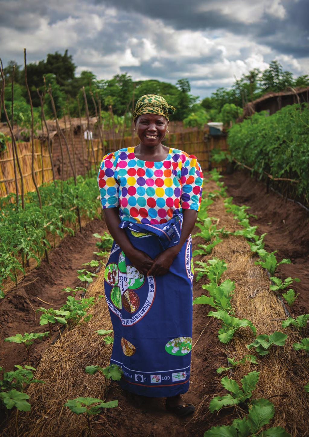 Malawi. Nye teknikker gir økt avling, mindre vannforbruk og økte inntekter.