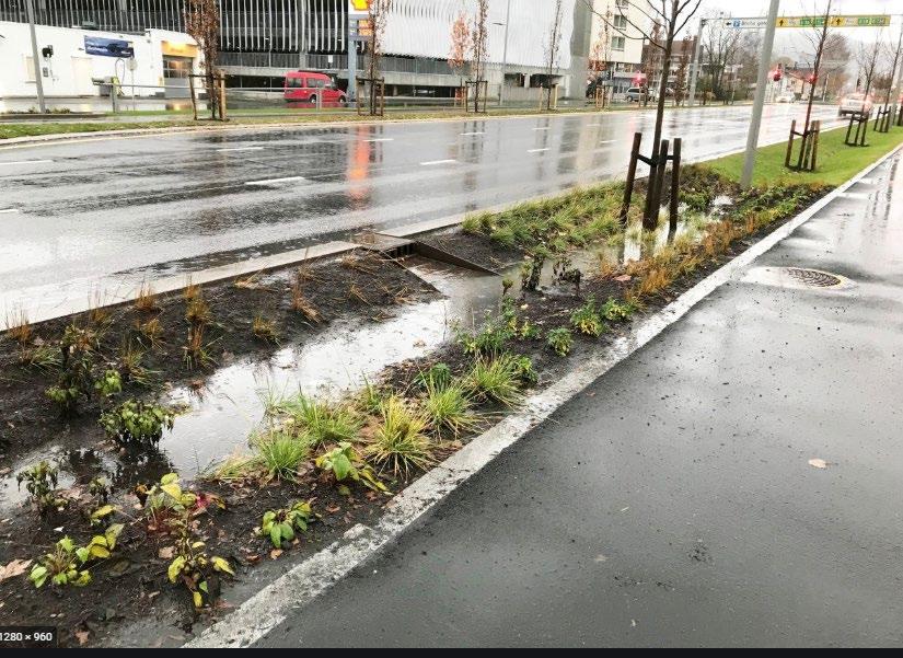 Figur 7 - eksempel på regnbedd i grøft Damholtbekken resipient for tilrenning Bekken drenerer langs eiendommens nordvestre grense og har et nedslagsfelt på ca.