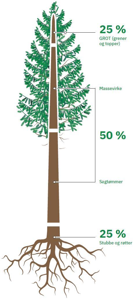 Alternativ anvendelse for prosessvann og slam fra papir- og skogsproduktindustri Det har ikke blitt identifisert konkurrenter til biogassproduksjon for papir- og skogsproduktindustri. 3.