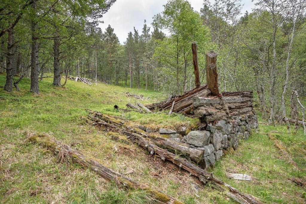 Side: 6/9 Figur 1 Fjøseidsetra er til nedfalls Avgrensing Framlegget til naturreservat er vist i vedlagte vernekart.