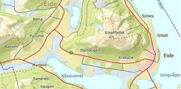 Storspove Fire storspovepar hekket sannsynligvis i kommunen i 2019. Alle para holdt til i eng.