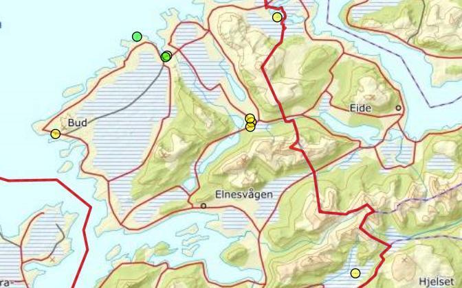 Fræna kommune Kommunekontakt 2019: Jenny Hjertvik Vipe På to lokaliteter i Fræna kommune ble det konstatert vellykket hekking, selv om flere par ble sett tidlig i hekkesesongen.