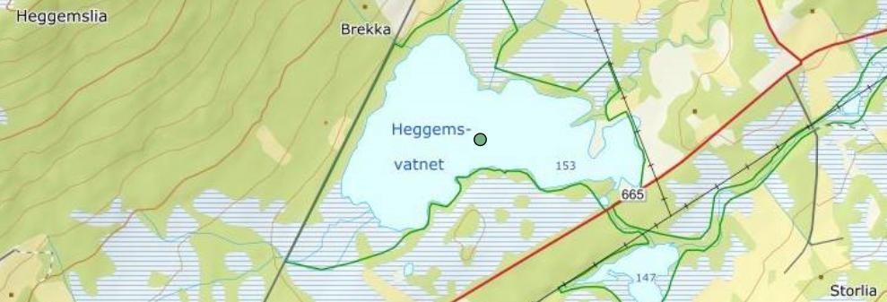 Gjemnes kommune Kommunekontakt 2019: Øyvind Gjeldnes Vipe Det ble sett bare ei vipe i kommunen i år.