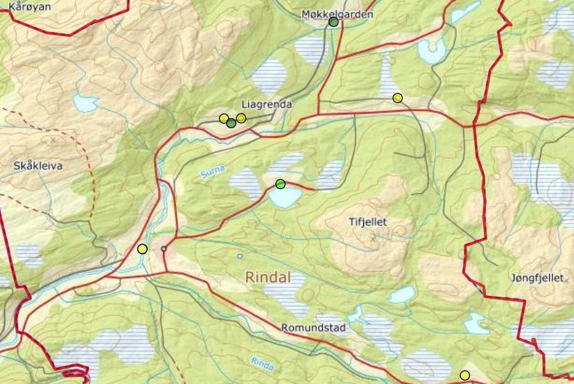 Rindal kommune Kommunekontakt 2019: Jørgen Holte Vipe Det ble et dårlig år for vipa i Rindal. Bare to par fikk med sikkerhet fram unger.