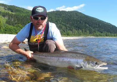 Gjennomsnittvekt på laksen har vaert de siste sesongene 5-7 kg. Gaula Flyfishing Lodge - Rotasjonsfluefiske. Valdets beliggenhet er i midtre Gaula i Hovin og Lundamo, 30-40 km fra Gaulosen.