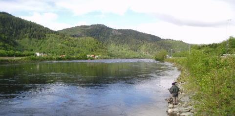 Gaula Flyfishing Lodge Fiskevald Valdets beliggenhet er i midtre Gaula i Hovin og Lundamo, 30-40 km fra Gaulosen.