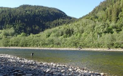 Bruahølen inneholder bestandig godt med fisk. Også her har vi en fin gapahuk for fiskere i midten av strekningen. Bruahølen fisker best når vannföring er mellom 10-350 kubikk.