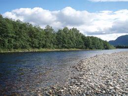 Fiskevald 4 - Stasjonshölen Stasjonshølen er en veldig fin og lang fluestrekkning, en av elvens beste pooler. Den er om lag 300 meter lang og hele hølen er godt egnet for fluefiske.