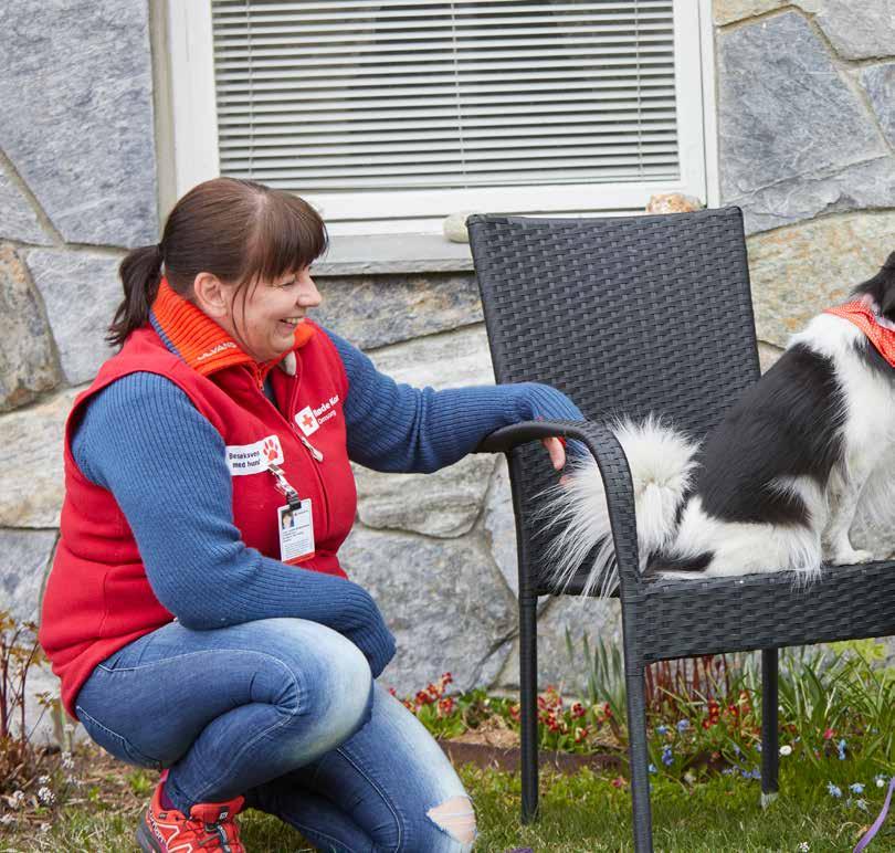 TEMA Korona Besøkstjeneste med hund i Ål Et etterlengtet gjensyn Det er stor gjensynsglede for både Margit og besøkshunden Kaja etter at de ikke har sett hverandre siden Norge stengte ned.