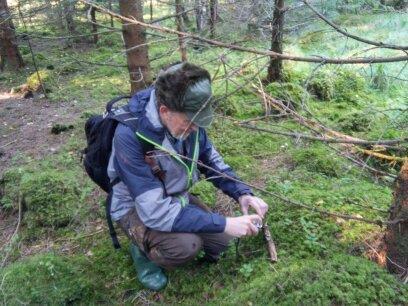 Kommuneoversikt og kartleggingsdager Aukra kommune Aukra kommune består av ei øy og en fastlandsdel. Vi gjort noen kartlegginger på fastlandsdelen. Storkleiva, Eiskrem 21.04.2015 Storkleiva, Eiskrem.