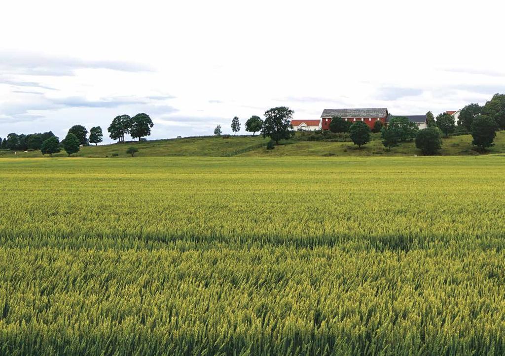 Vi kan landbruksjuss Eiendoms- og rettighetsforhold, kontrakter, jordskifte, odel og