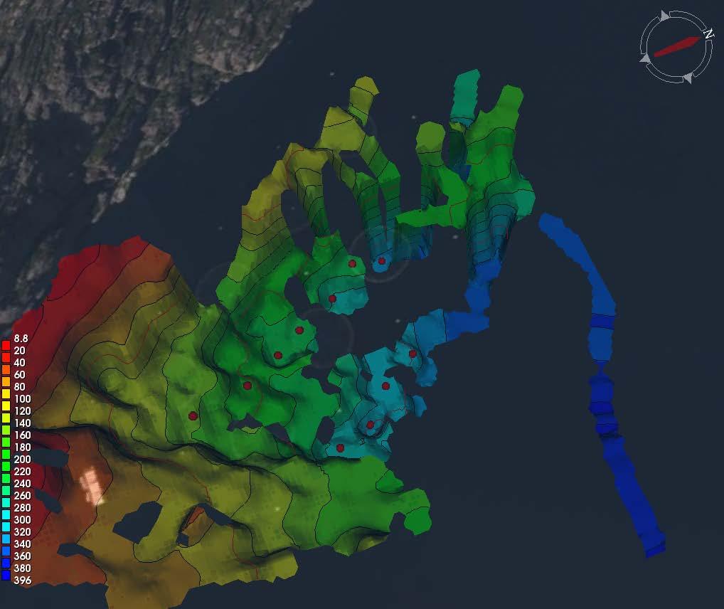 Vedlegg 4b: Topografisk botnkart i 3d som