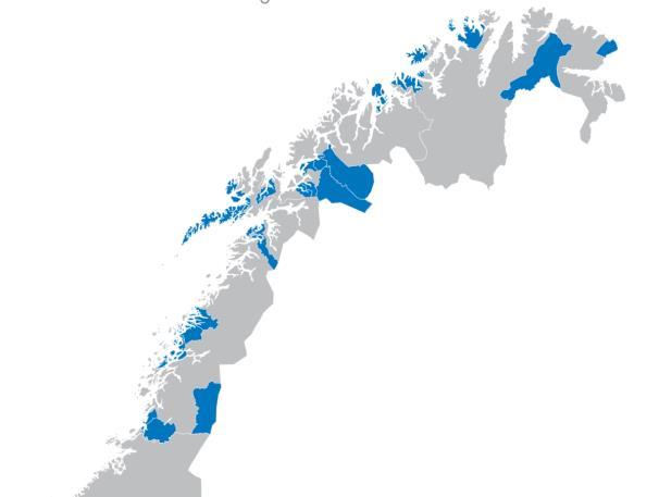 caseanalyse. Utvalget ble gjort på bakgrunn av svarene i spørreundersøkelsen. Formålet med intervjuene var dypere forståelse av tiltak som er gjennomført disses virkning.