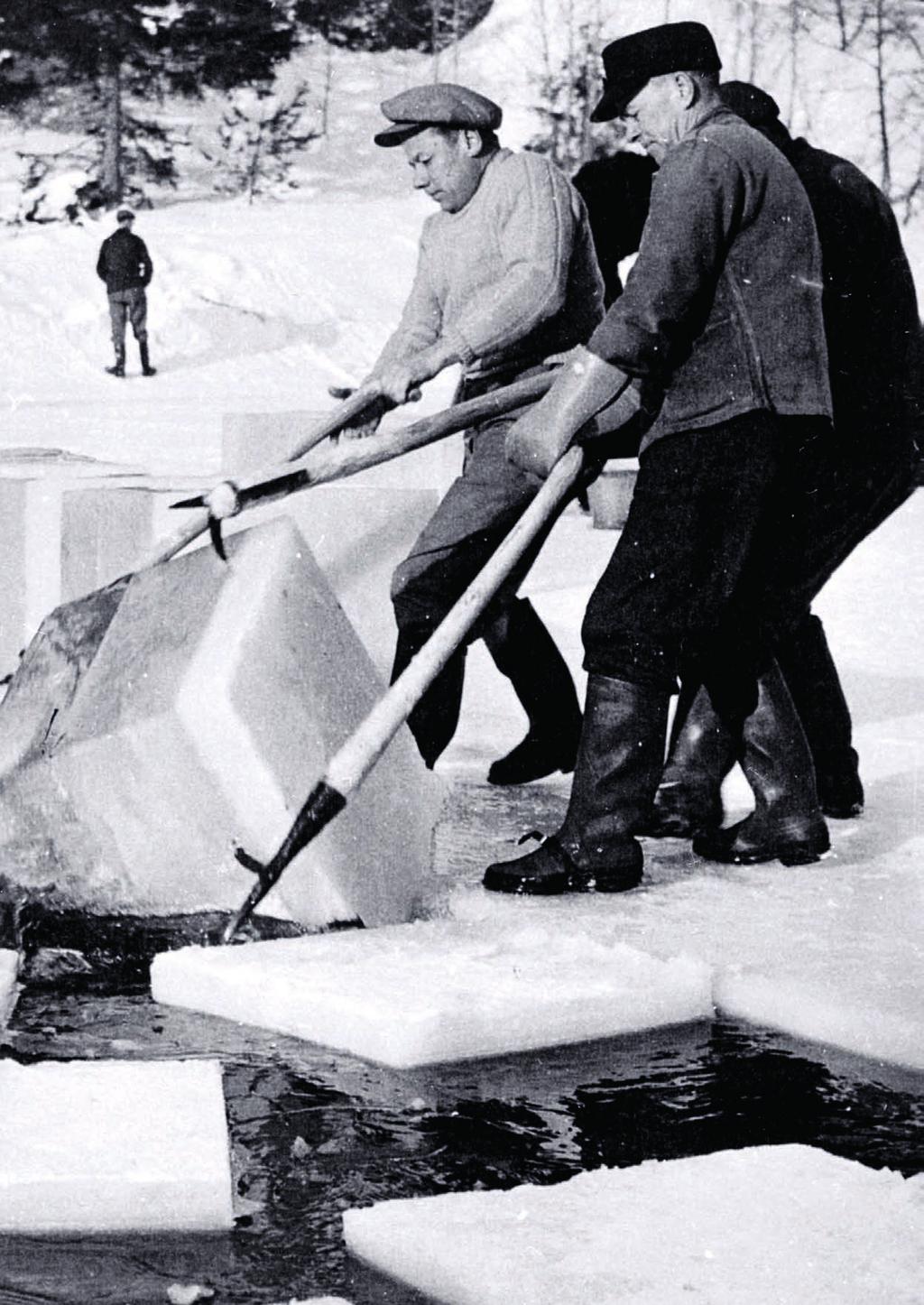 Hurum og Røyken var de kommunene i Buskerud som hadde den mest betydelige isdriften fordi de ligger til både Drammensfjorden