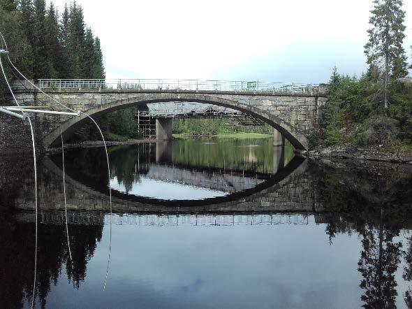 Småblank synes å være svært fåtallig i de stilleflytende områdene i magasinet oppstrøms Åsmulfossen og i Tunnsjøelva nedstrøms utløpet av Tunnsjødal kraftverk (bilde 10).