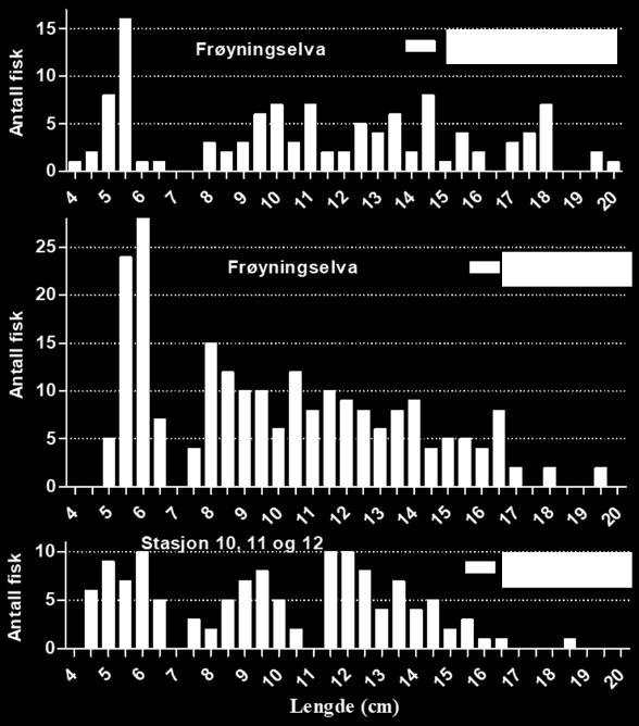 Årsyngel (0+) skilte seg klart i størrelse fra de eldre aldersgruppene, men for eldre fisk var det en kontinuerlig lengdefordeling.