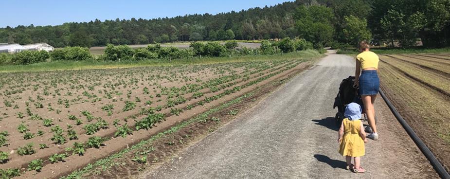 Arealressurser og verneverdier Moss er en liten kommune i areal, og de ubebygde områdene består i hovedsak av store verdifulle landbruksområder, skog med stort biologisk mangfold, kulturlandskap og