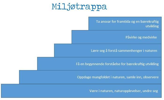 Trapp 1. 1-2 år: tur til bålplassen/nærområdet. Se på blomster, trær, insekter i forhold til årstidene. Trapp 2.